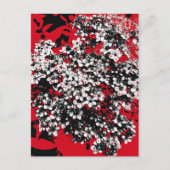 CARTE POSTALE FLEURS (Devant)