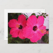 Carte Postale fleurs (Devant / Derrière)