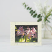 Carte Postale fleurs (Debout devant)