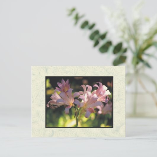 Carte Postale fleurs (Debout devant)