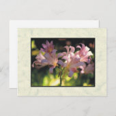 Carte Postale fleurs (Devant / Derrière)