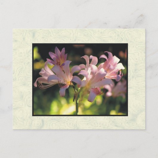 Carte Postale fleurs (Devant)