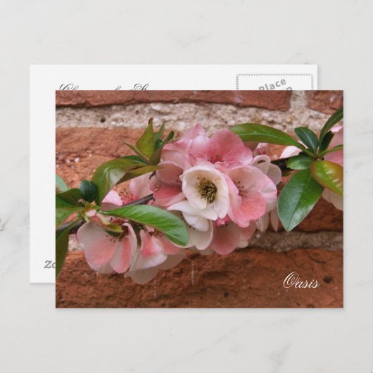 CARTE POSTALE FLEURS (Devant / Derrière)