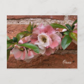 CARTE POSTALE FLEURS (Devant)