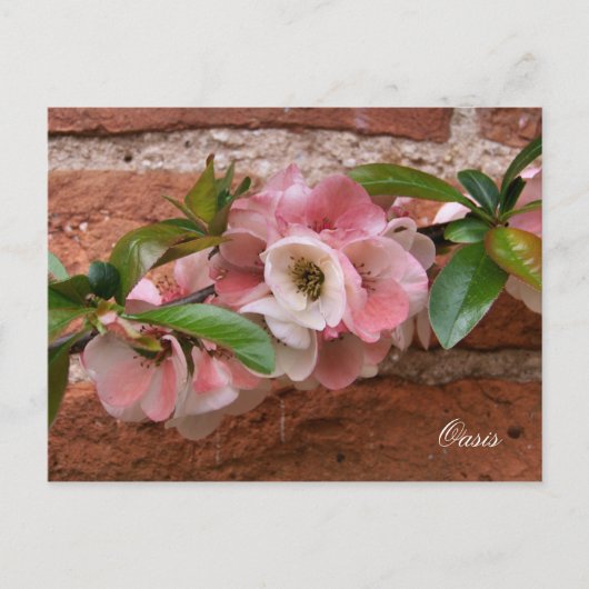 CARTE POSTALE FLEURS (Devant)