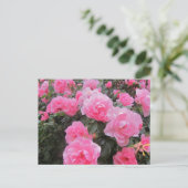 Carte Postale fleurs (Debout devant)