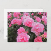 Carte Postale fleurs (Devant / Derrière)