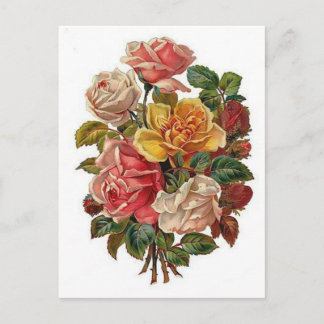 Carte Postale Fleurs