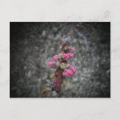 Carte Postale fleurs (Devant)