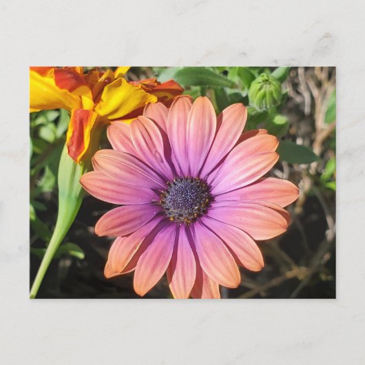 Carte Postale Fleurs (Devant)