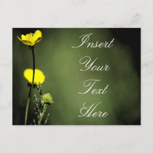 Carte Postale Fleurs