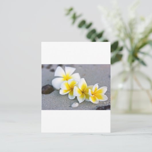 Carte Postale Fleurs (Debout devant)