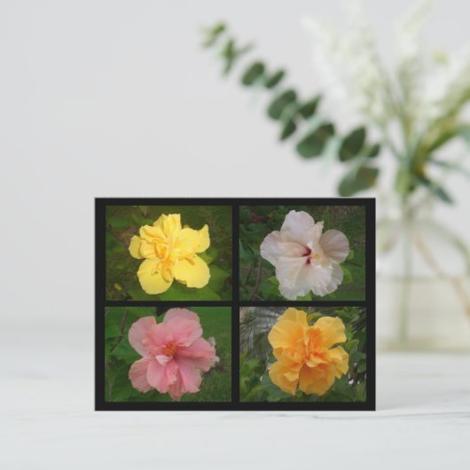 Carte Postale Fleurs (Debout devant)