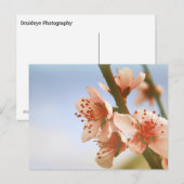 Carte Postale Fleurs (Devant / Derrière)