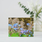 Carte Postale Fleurs (Debout devant)