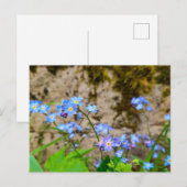 Carte Postale Fleurs (Devant / Derrière)