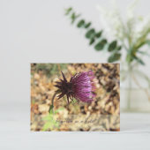 Carte Postale Fleurs... (Debout devant)