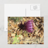 Carte Postale Fleurs... (Devant / Derrière)