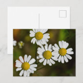 Carte Postale Fleurs (Devant / Derrière)