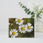 Carte Postale Fleurs (Debout devant)