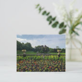 Carte Postale Fleurs (Debout devant)