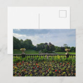 Carte Postale Fleurs (Devant / Derrière)