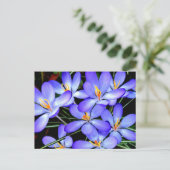 Carte Postale Fleurs (Debout devant)