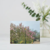 Carte Postale Fleurs (Debout devant)