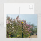 Carte Postale Fleurs (Devant / Derrière)