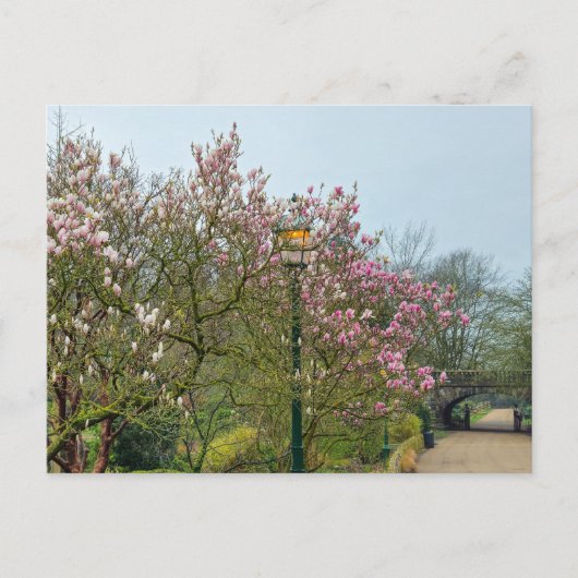 Carte Postale Fleurs (Devant)