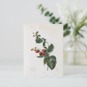 Carte Postale Fleurs 17 (Debout devant)