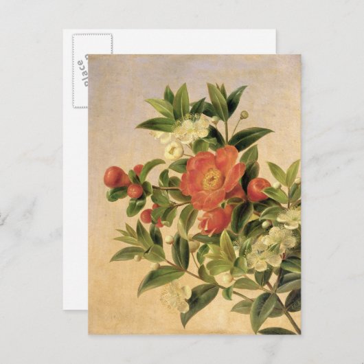 Carte Postale Fleurs, 1835 (Devant / Derrière)