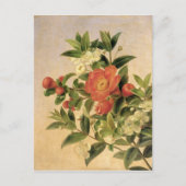 Carte Postale Fleurs, 1835 (Devant)