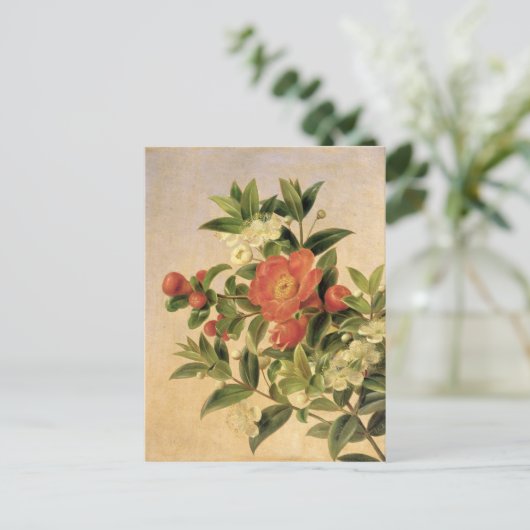 Carte Postale Fleurs, 1835 (Debout devant)