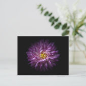 Carte Postale Fleurs 20 (Debout devant)