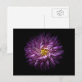 Carte Postale Fleurs 20 (Devant / Derrière)