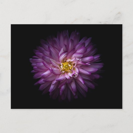 Carte Postale Fleurs 20 (Devant)