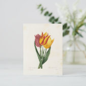 Carte Postale Fleurs 9 (Debout devant)