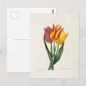 Carte Postale Fleurs 9 (Devant / Derrière)