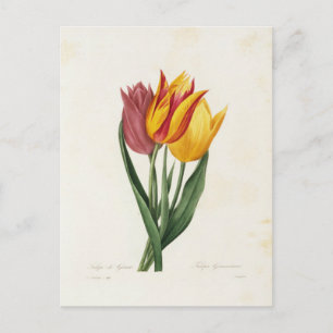 Carte Postale Fleurs 9