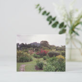 Carte Postale Fleurs à Boquete (Debout devant)