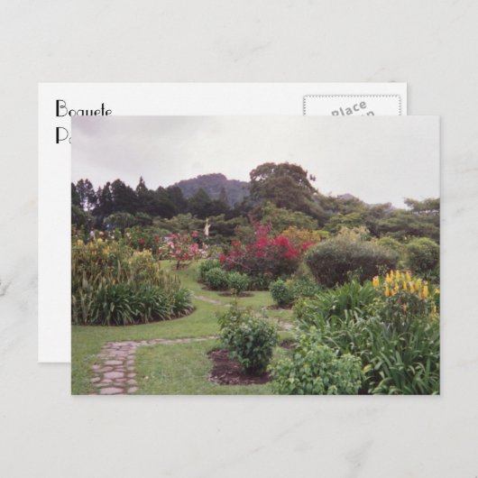 Carte Postale Fleurs à Boquete (Devant / Derrière)