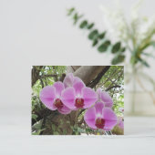 Carte Postale Fleurs à Chiang Mai Thaïlande (Debout devant)