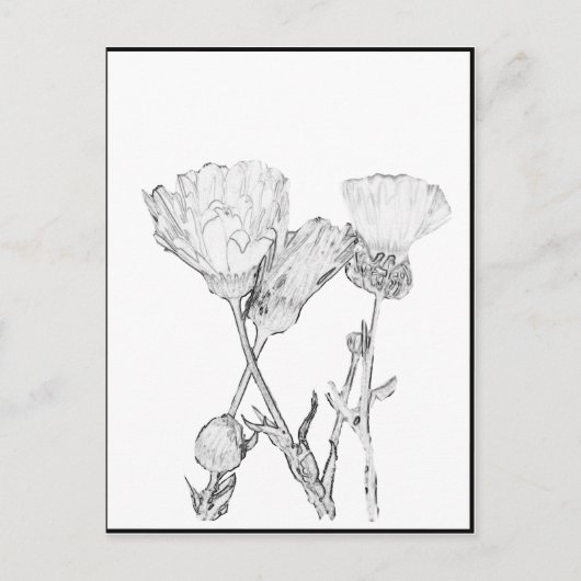 Carte postale - Fleurs à colorier (Devant)