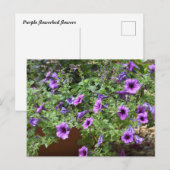 Carte Postale Fleurs à fleurs violettes (Devant / Derrière)