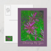 CARTE POSTALE FLEURS "À PENSÉE À VOUS" (Devant / Derrière)