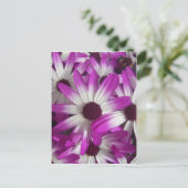 Carte Postale Fleurs à profusion (Debout devant)