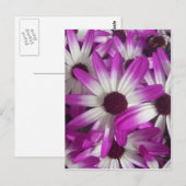 Carte Postale Fleurs à profusion (Devant / Derrière)