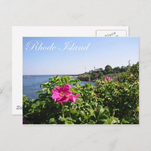 Carte Postale Fleurs à Rhode Island (Devant / Derrière)