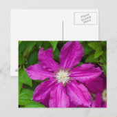 Carte Postale Fleurs à Robinette's Apple Haus et Gift Barn (Devant / Derrière)